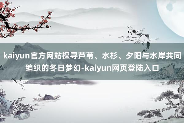 kaiyun官方网站探寻芦苇、水杉、夕阳与水岸共同编织的冬日梦幻-kaiyun网页登陆入口